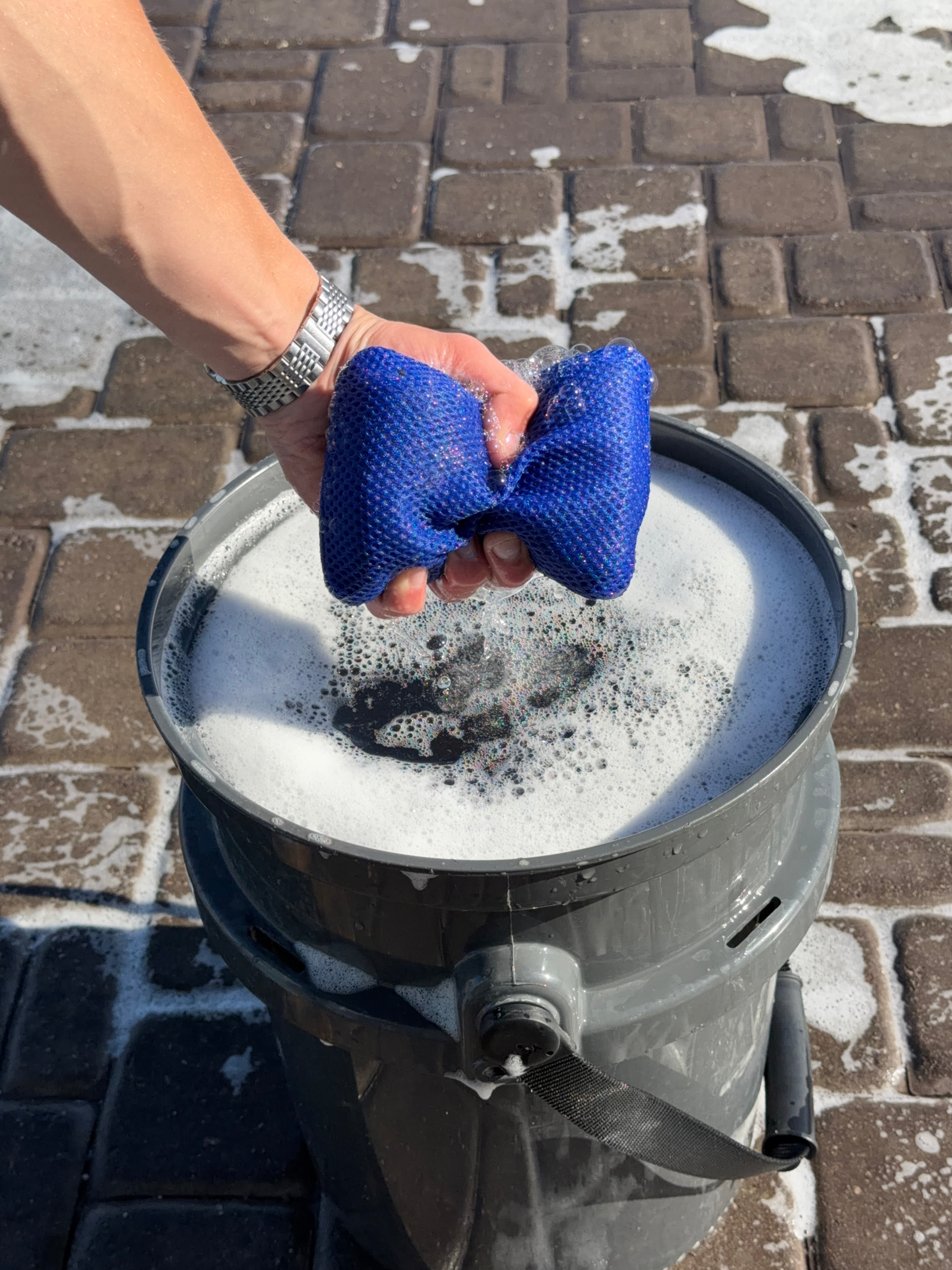 LuxBug- Bug and Tar Remover Sponge