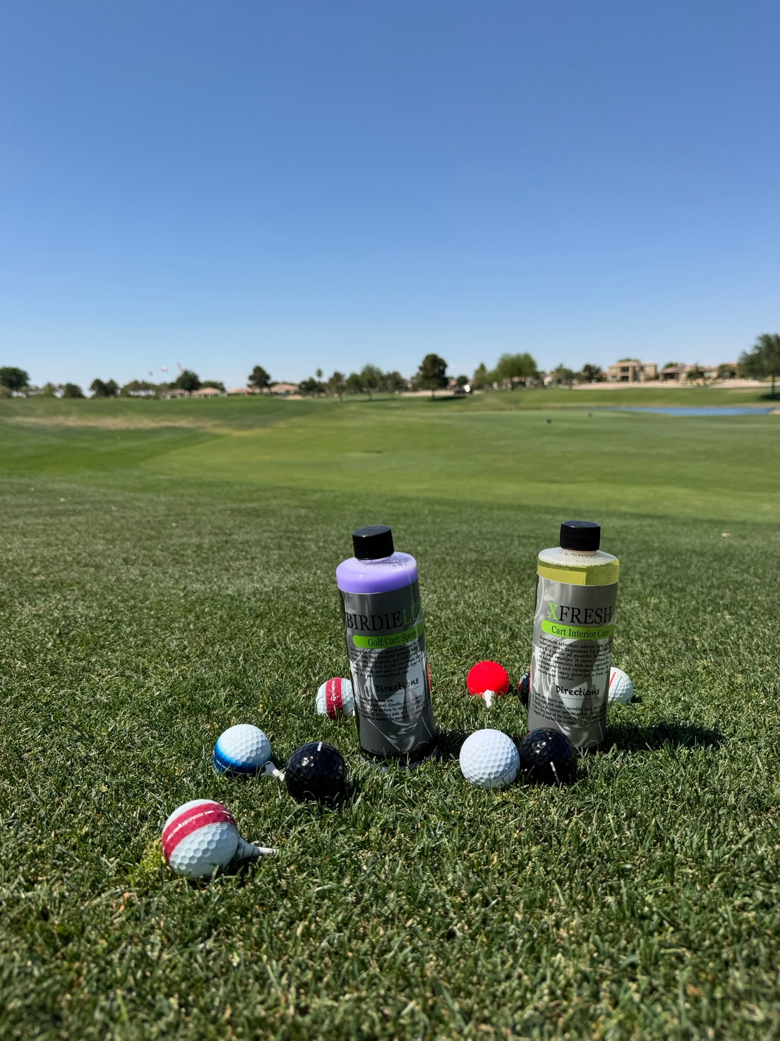 BirdieLux- Golf Cart Exterior Cleaner