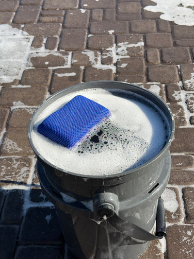 LuxBug- Bug and Tar Remover Sponge